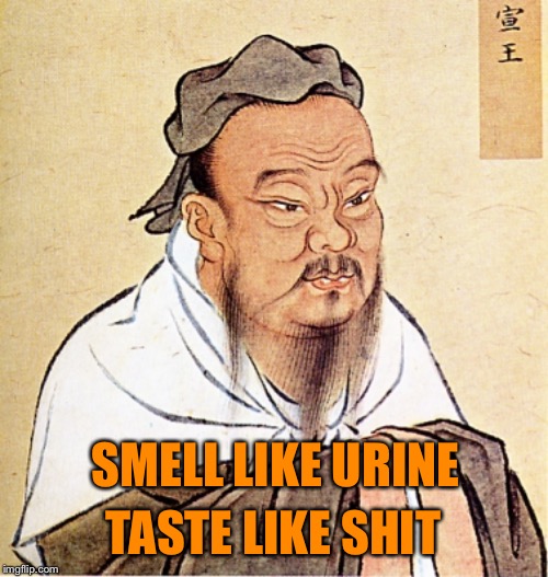 wise confusius | TASTE LIKE SHIT SMELL LIKE URINE | image tagged in wise confusius | made w/ Imgflip meme maker
