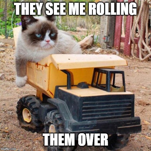 grumpy cat rolling | THEY SEE ME ROLLING; THEM OVER | image tagged in grumpy cat rolling | made w/ Imgflip meme maker