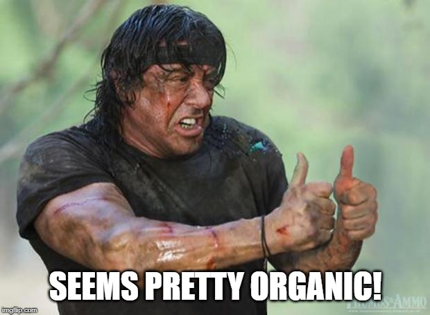 Thumbs Up Rambo | SEEMS PRETTY ORGANIC! | image tagged in thumbs up rambo | made w/ Imgflip meme maker