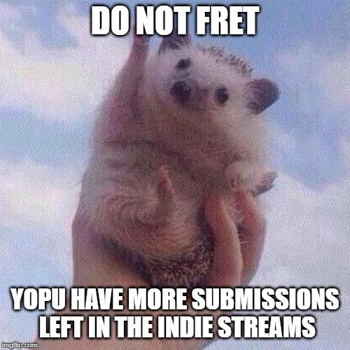 Encouraging Hedgehog | DO NOT FRET; YOPU HAVE MORE SUBMISSIONS LEFT IN THE INDIE STREAMS | image tagged in encouraging hedgehog | made w/ Imgflip meme maker