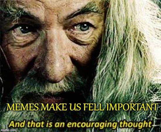 And that is an encouraging thought | MEMES MAKE US FELL IMPORTANT | image tagged in and that is an encouraging thought | made w/ Imgflip meme maker