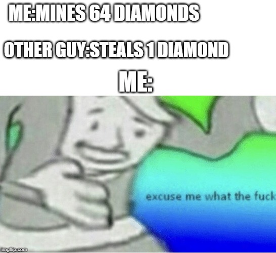 really true | ME:MINES 64 DIAMONDS; OTHER GUY:STEALS 1 DIAMOND; ME: | image tagged in excuse me wtf blank template,wtf | made w/ Imgflip meme maker