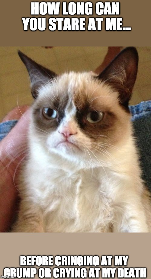 Grumpy Cat | HOW LONG CAN YOU STARE AT ME... BEFORE CRINGING AT MY GRUMP OR CRYING AT MY DEATH | image tagged in memes,grumpy cat | made w/ Imgflip meme maker