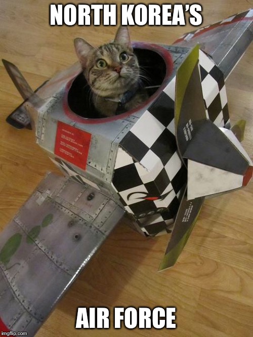 airplane cat | NORTH KOREA’S; AIR FORCE | image tagged in airplane cat | made w/ Imgflip meme maker