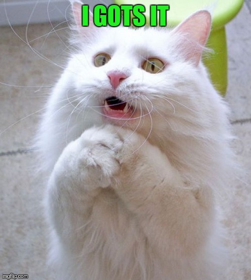 I Can Haz | I GOTS IT | image tagged in i can haz | made w/ Imgflip meme maker
