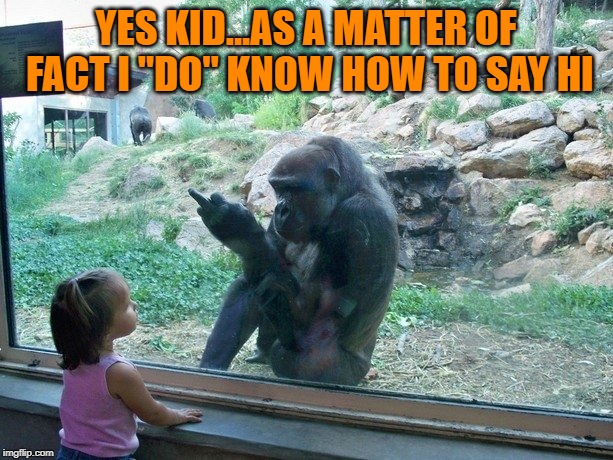 Can you say Hi?  Zoo Week May 12-18 a Dankmaster546 and 1forpeace Event | YES KID...AS A MATTER OF FACT I "DO" KNOW HOW TO SAY HI | image tagged in watch the birdy,memes,gorillas,funny,flipping the bird,zoo week | made w/ Imgflip meme maker