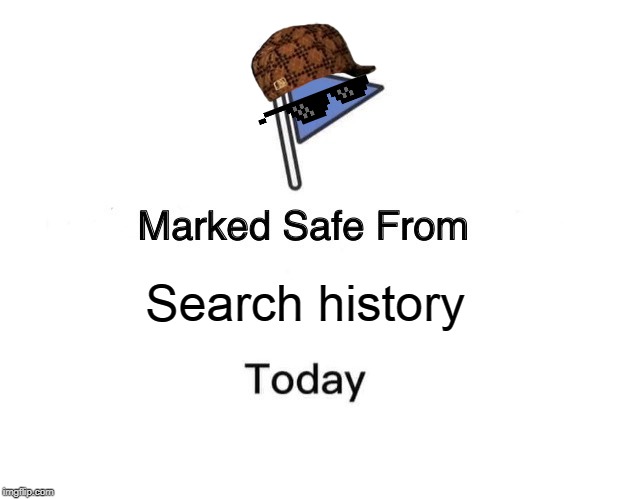 Marked Safe From Meme | Search history | image tagged in memes,marked safe from | made w/ Imgflip meme maker