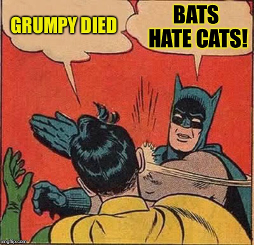 Batman Slapping Robin Meme | GRUMPY DIED BATS HATE CATS! | image tagged in memes,batman slapping robin | made w/ Imgflip meme maker