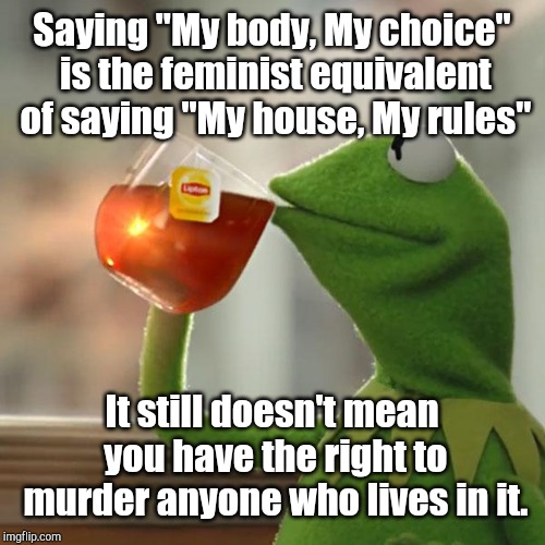 But That's None Of My Business | Saying "My body, My choice" is the feminist equivalent of saying "My house, My rules"; It still doesn't mean you have the right to murder anyone who lives in it. | image tagged in memes,but thats none of my business,kermit the frog | made w/ Imgflip meme maker