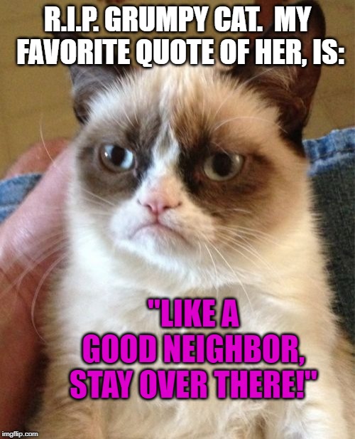 Grumpy Cat Meme | R.I.P. GRUMPY CAT.  MY FAVORITE QUOTE OF HER, IS:; "LIKE A GOOD NEIGHBOR, STAY OVER THERE!" | image tagged in memes,grumpy cat | made w/ Imgflip meme maker