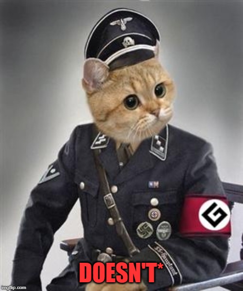 Grammar Nazi Cat | DOESN'T* | image tagged in grammar nazi cat | made w/ Imgflip meme maker