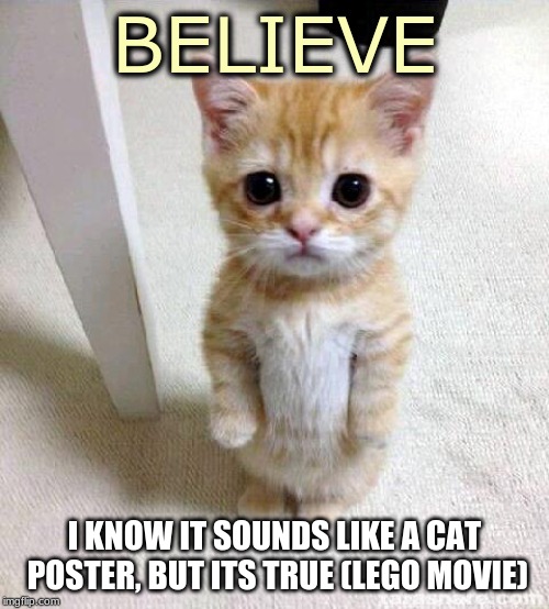 believe in yourself, this cat does. | BELIEVE; I KNOW IT SOUNDS LIKE A CAT POSTER, BUT ITS TRUE (LEGO MOVIE) | image tagged in memes,cute cat,inspirational quote,the lego movie,cat | made w/ Imgflip meme maker