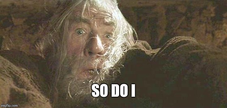 Gandalf Fly You Fools | SO DO I | image tagged in gandalf fly you fools | made w/ Imgflip meme maker