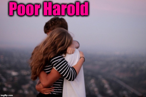 hug | Poor Harold | image tagged in hug | made w/ Imgflip meme maker