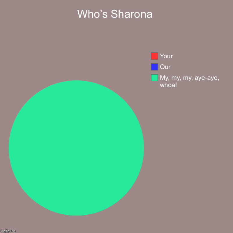 ... for the touch of the younger kind. | Who’s Sharona | My, my, my, aye-aye, whoa!, Our, Your | image tagged in charts,pie charts,the knack,my sharona,1970s music | made w/ Imgflip chart maker