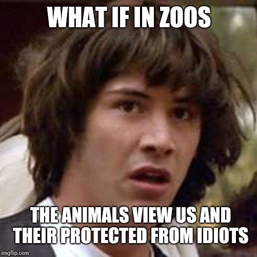 Conspiracy Keanu | WHAT IF IN ZOOS; THE ANIMALS VIEW US AND THEIR PROTECTED FROM IDIOTS | image tagged in memes,conspiracy keanu | made w/ Imgflip meme maker
