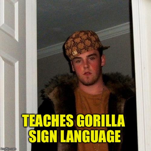 Scumbag Steve Meme | TEACHES GORILLA SIGN LANGUAGE | image tagged in memes,scumbag steve | made w/ Imgflip meme maker