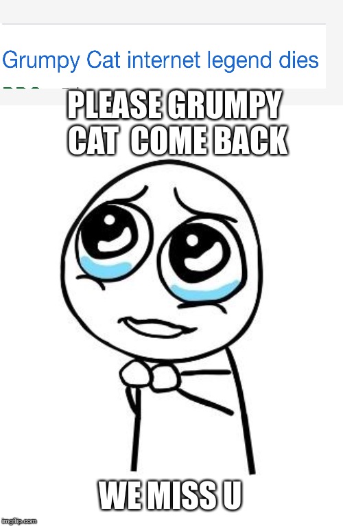 pleaseguy | PLEASE GRUMPY CAT  COME BACK; WE MISS U | image tagged in pleaseguy | made w/ Imgflip meme maker