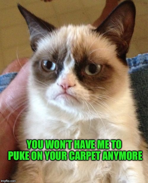 Grumpy Cat | YOU WON’T HAVE ME TO PUKE ON YOUR CARPET ANYMORE | image tagged in memes,grumpy cat | made w/ Imgflip meme maker