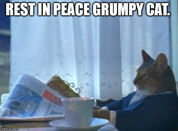 I Should Buy A Boat Cat Meme | REST IN PEACE GRUMPY CAT. | image tagged in memes,i should buy a boat cat | made w/ Imgflip meme maker