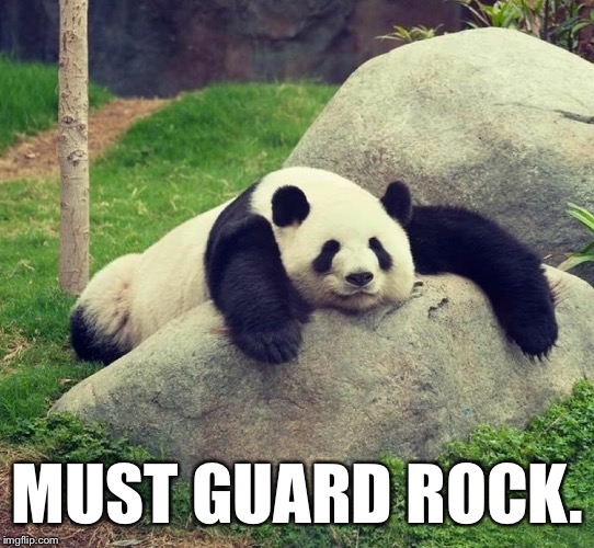 MUST GUARD ROCK. | made w/ Imgflip meme maker