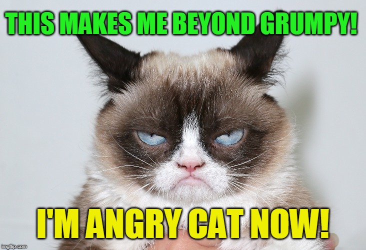 THIS MAKES ME BEYOND GRUMPY! I'M ANGRY CAT NOW! | made w/ Imgflip meme maker