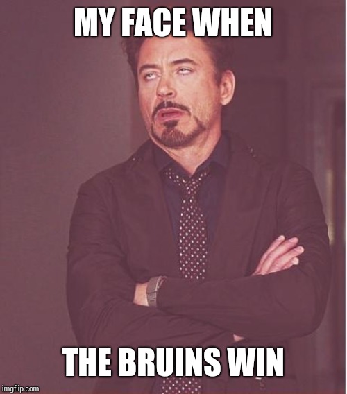 Face You Make Robert Downey Jr | MY FACE WHEN; THE BRUINS WIN | image tagged in memes,face you make robert downey jr | made w/ Imgflip meme maker