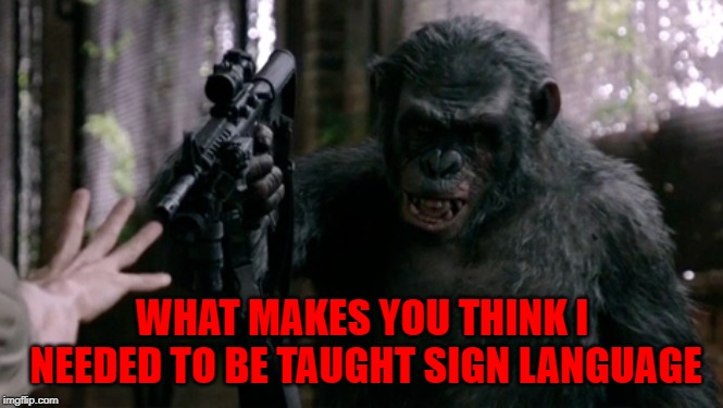 WHAT MAKES YOU THINK I NEEDED TO BE TAUGHT SIGN LANGUAGE | made w/ Imgflip meme maker