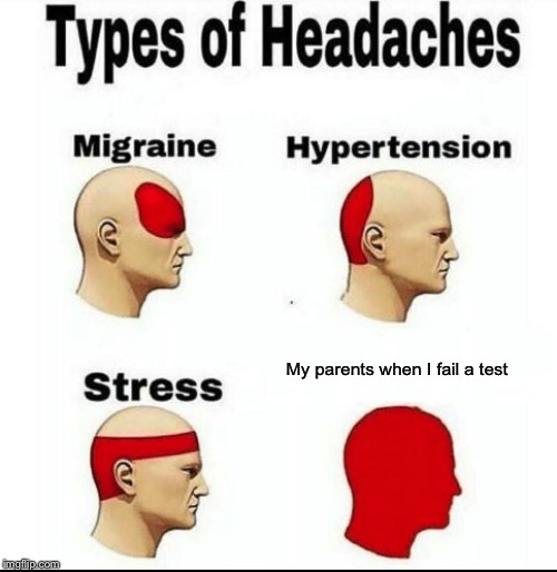 Types of Headaches meme | My parents when I fail a test | image tagged in types of headaches meme | made w/ Imgflip meme maker