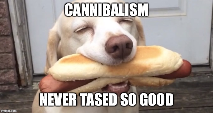 Satisfied Dog | CANNIBALISM; NEVER TASED SO GOOD | image tagged in image was found on google | made w/ Imgflip meme maker