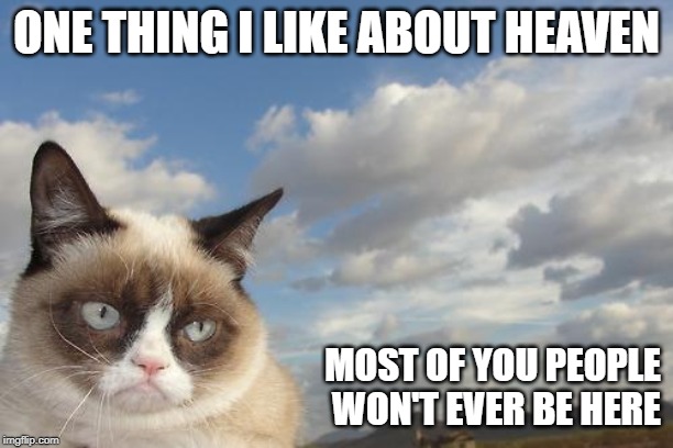 Grumpy Cat Sky | ONE THING I LIKE ABOUT HEAVEN; MOST OF YOU PEOPLE WON'T EVER BE HERE | image tagged in memes,grumpy cat sky,grumpy cat | made w/ Imgflip meme maker