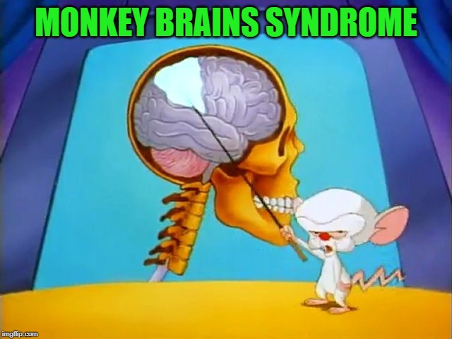 the brain | MONKEY BRAINS SYNDROME | image tagged in the brain | made w/ Imgflip meme maker