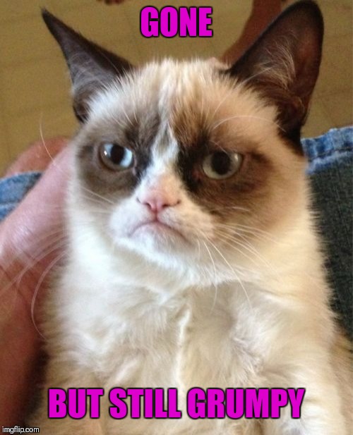 Grumpy Cat Meme | GONE BUT STILL GRUMPY | image tagged in memes,grumpy cat | made w/ Imgflip meme maker