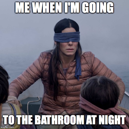 Bird Box | ME WHEN I'M GOING; TO THE BATHROOM AT NIGHT | image tagged in memes,bird box | made w/ Imgflip meme maker