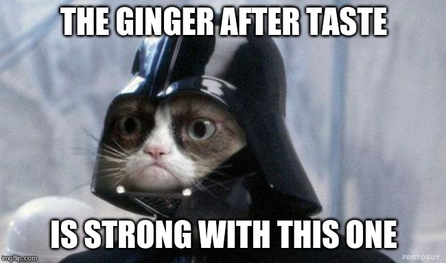 Grumpy Cat Star Wars Meme | THE GINGER AFTER TASTE; IS STRONG WITH THIS ONE | image tagged in memes,grumpy cat star wars,grumpy cat | made w/ Imgflip meme maker