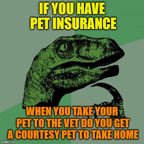yes i need a loaner please ;) | IF YOU HAVE  PET INSURANCE; WHEN YOU TAKE YOUR PET TO THE VET DO YOU GET A COURTESY PET TO TAKE HOME | image tagged in memes,philosoraptor | made w/ Imgflip meme maker