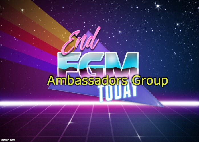 Ambassadors Group | made w/ Imgflip meme maker