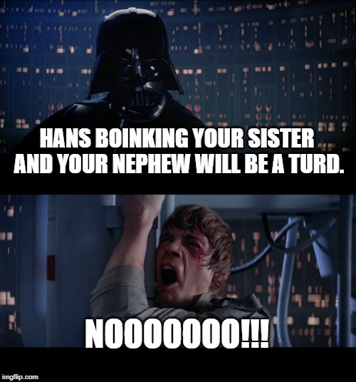 Kylo Turd | HANS BOINKING YOUR SISTER AND YOUR NEPHEW WILL BE A TURD. NOOOOOOO!!! | image tagged in memes,star wars no | made w/ Imgflip meme maker