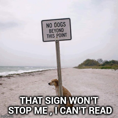 Fight the Power No Dogs | THAT SIGN WON'T STOP ME , I CAN'T READ | image tagged in fight the power no dogs | made w/ Imgflip meme maker