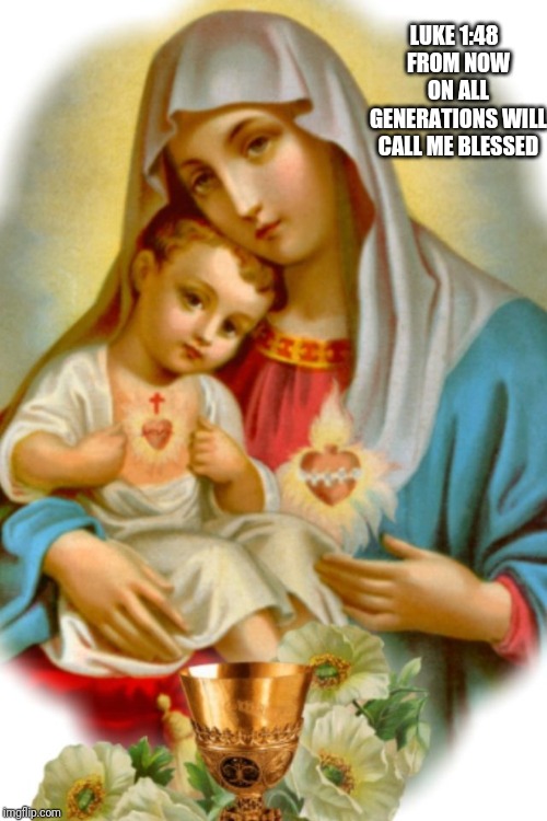 Our Mother | LUKE 1:48
 FROM NOW ON ALL GENERATIONS WILL CALL ME BLESSED | image tagged in catholic,christian,church,family,holy spirit,the most interesting man in the world | made w/ Imgflip meme maker