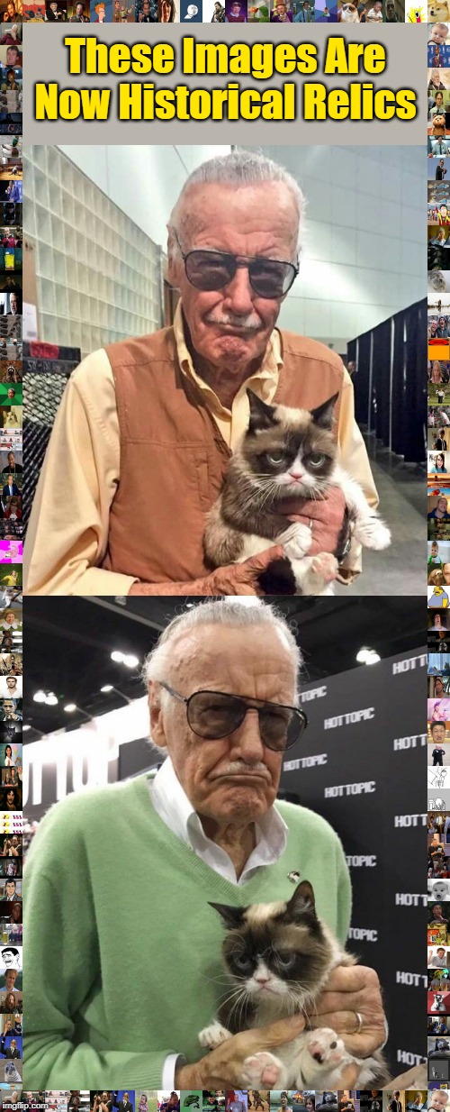 Rest In Peace | These Images Are Now Historical Relics | image tagged in memes,stan lee,grumpy cat,memories,historical meme,rip | made w/ Imgflip meme maker