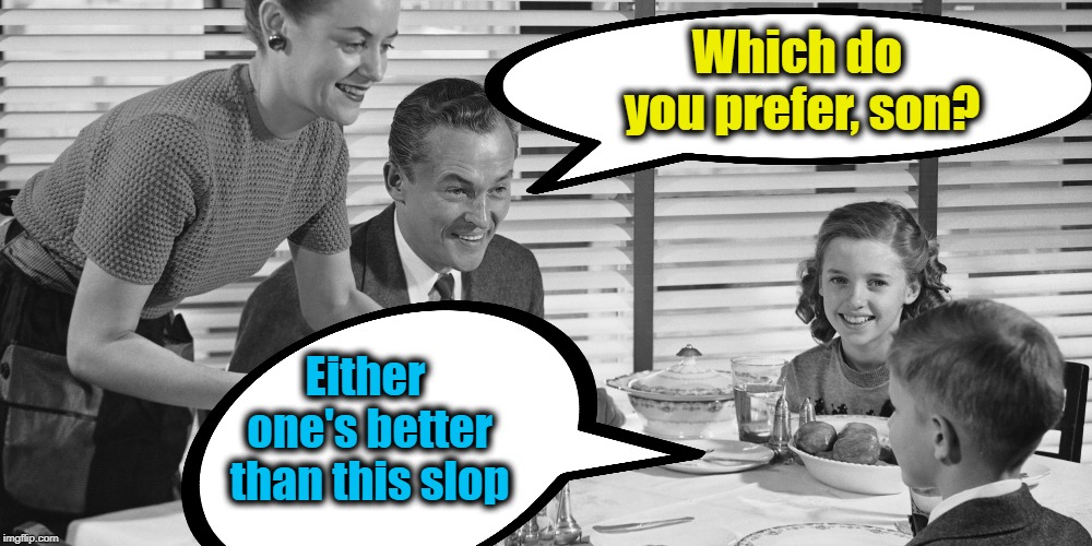 Vintage family | Which do you prefer, son? Either one's better than this slop | image tagged in vintage family | made w/ Imgflip meme maker