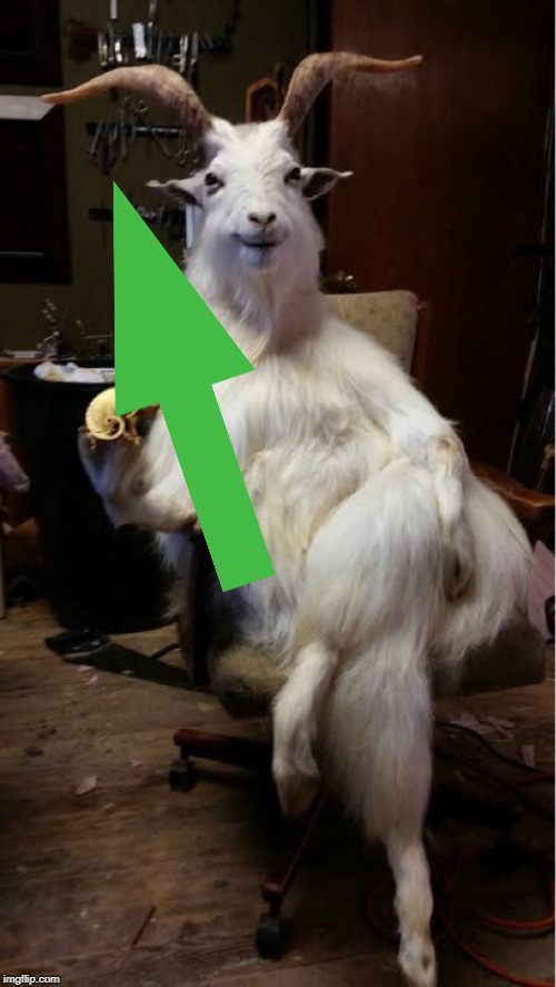 goat | image tagged in goat | made w/ Imgflip meme maker