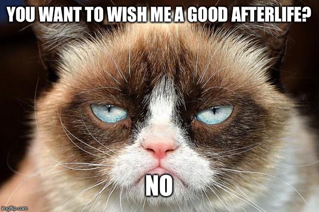 Grumpy Cat Not Amused | YOU WANT TO WISH ME A GOOD AFTERLIFE? NO | image tagged in memes,grumpy cat not amused,grumpy cat | made w/ Imgflip meme maker
