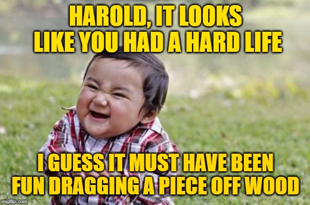 Evil Toddler Meme | HAROLD, IT LOOKS LIKE YOU HAD A HARD LIFE I GUESS IT MUST HAVE BEEN FUN DRAGGING A PIECE OFF WOOD | image tagged in memes,evil toddler | made w/ Imgflip meme maker