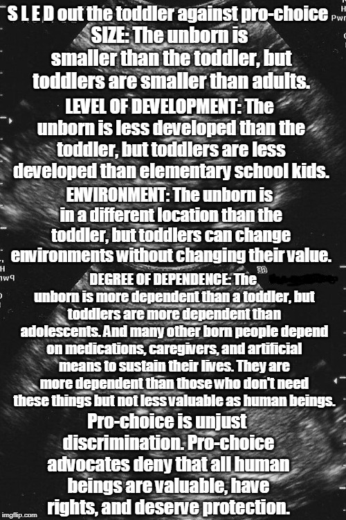 S.L.E.D. out the toddler against pro-choice | S L E D out the toddler against pro-choice; SIZE: The unborn is smaller than the toddler, but toddlers are smaller than adults. LEVEL OF DEVELOPMENT: The unborn is less developed than the toddler, but toddlers are less developed than elementary school kids. ENVIRONMENT: The unborn is in a different location than the toddler, but toddlers can change environments without changing their value. DEGREE OF DEPENDENCE: The unborn is more dependent than a toddler, but toddlers are more dependent than adolescents. And many other born people depend on medications, caregivers, and artificial means to sustain their lives. They are more dependent than those who don't need these things but not less valuable as human beings. Pro-choice is unjust discrimination. Pro-choice advocates deny that all human beings are valuable, have rights, and deserve protection. | image tagged in abortion ban,pro choice,discrimination,pro life,abortion,memes | made w/ Imgflip meme maker
