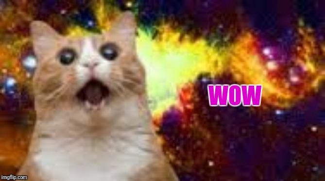 WOW CAT! 2 (in space) | WOW | image tagged in wow cat 2 in space | made w/ Imgflip meme maker