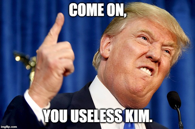 Donald Trump | COME ON, YOU USELESS KIM. | image tagged in donald trump | made w/ Imgflip meme maker