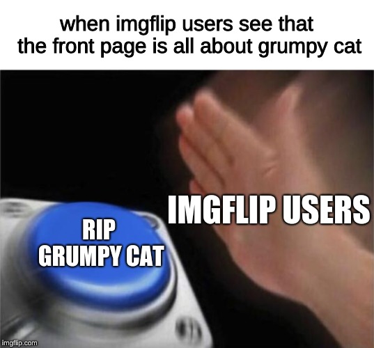 Blank Nut Button Meme | when imgflip users see that the front page is all about grumpy cat; IMGFLIP USERS; RIP GRUMPY CAT | image tagged in memes,blank nut button | made w/ Imgflip meme maker