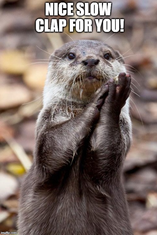 Slow-Clap Otter | NICE SLOW CLAP FOR YOU! | image tagged in slow-clap otter | made w/ Imgflip meme maker